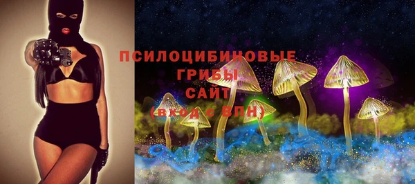 винт Белокуриха