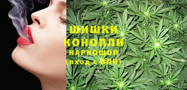 винт Белокуриха