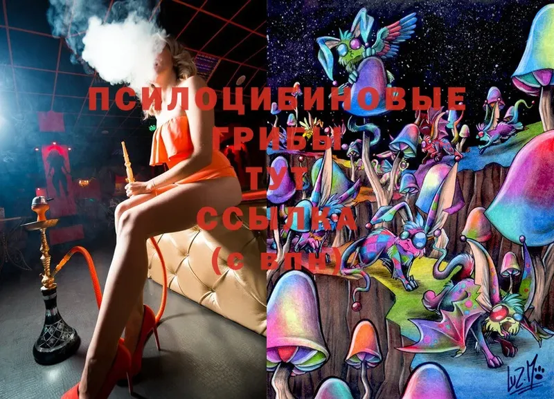 Псилоцибиновые грибы MAGIC MUSHROOMS  Высоцк 