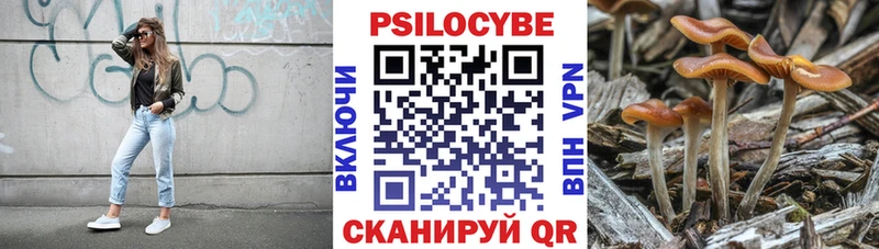 площадка какой сайт  Высоцк  Галлюциногенные грибы GOLDEN TEACHER 